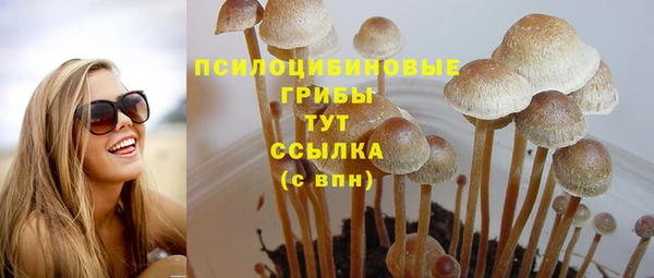 стафф Верея