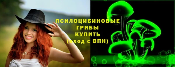 дурь Бронницы
