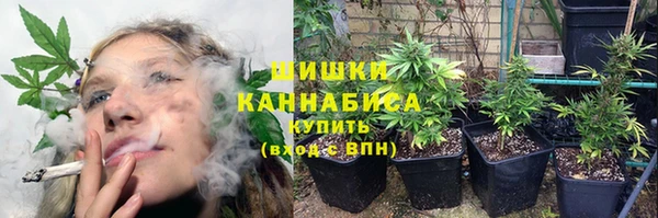 бошки Володарск