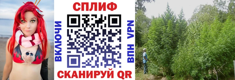 Конопля MAZAR  нарко площадка клад  Вязники  где можно купить наркотик 